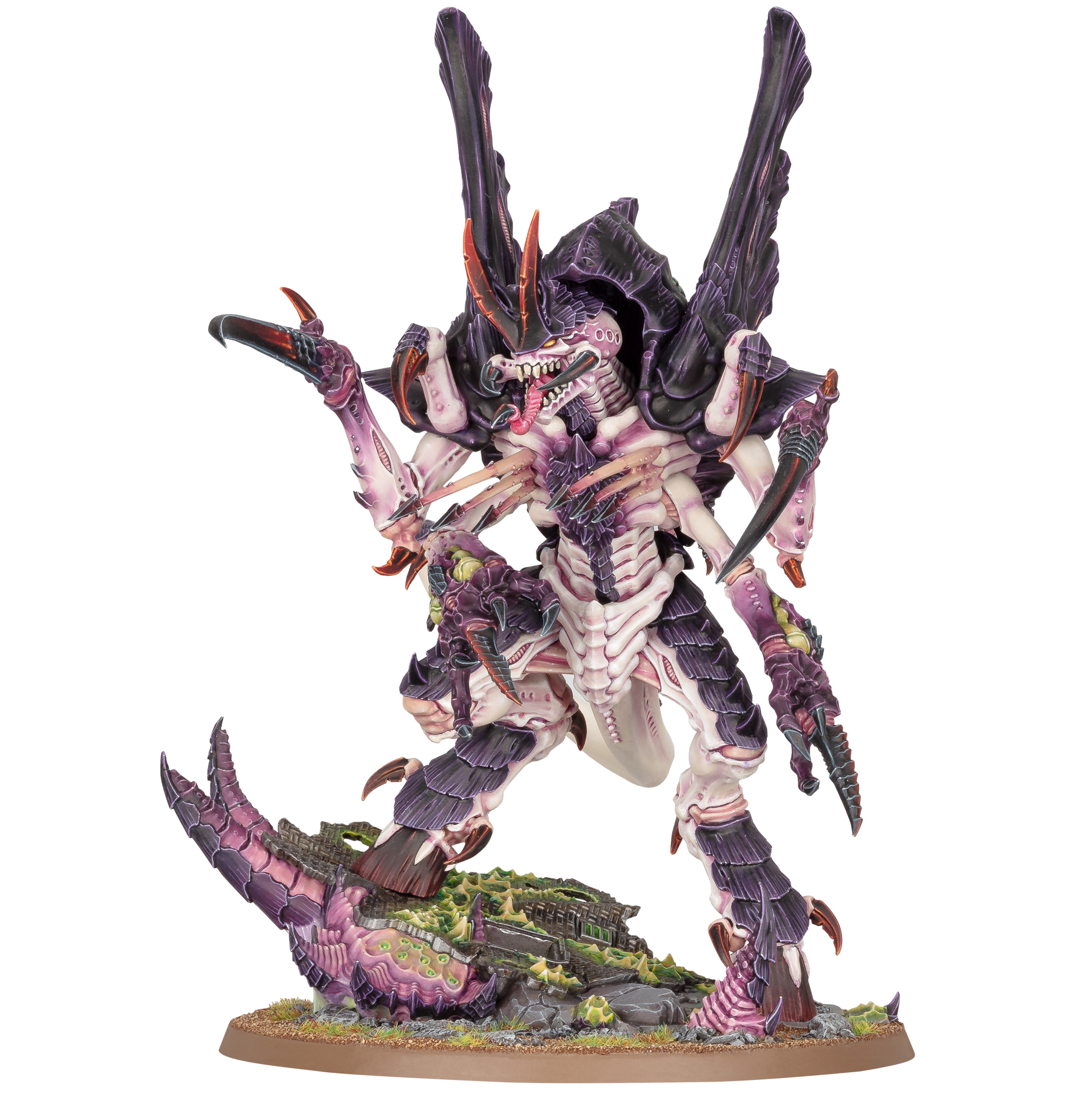Norn Assimilator