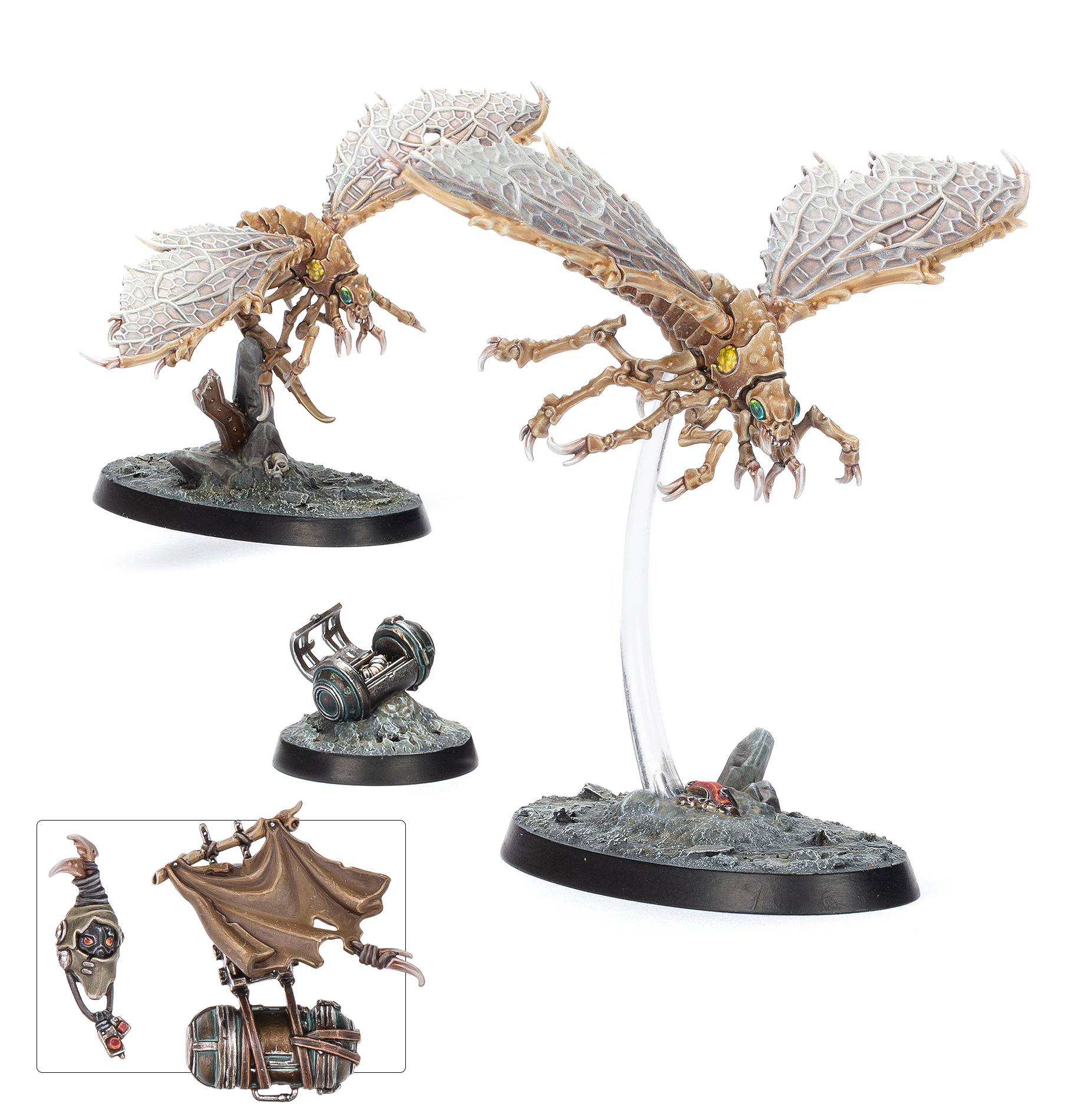 Ashwing Helamites