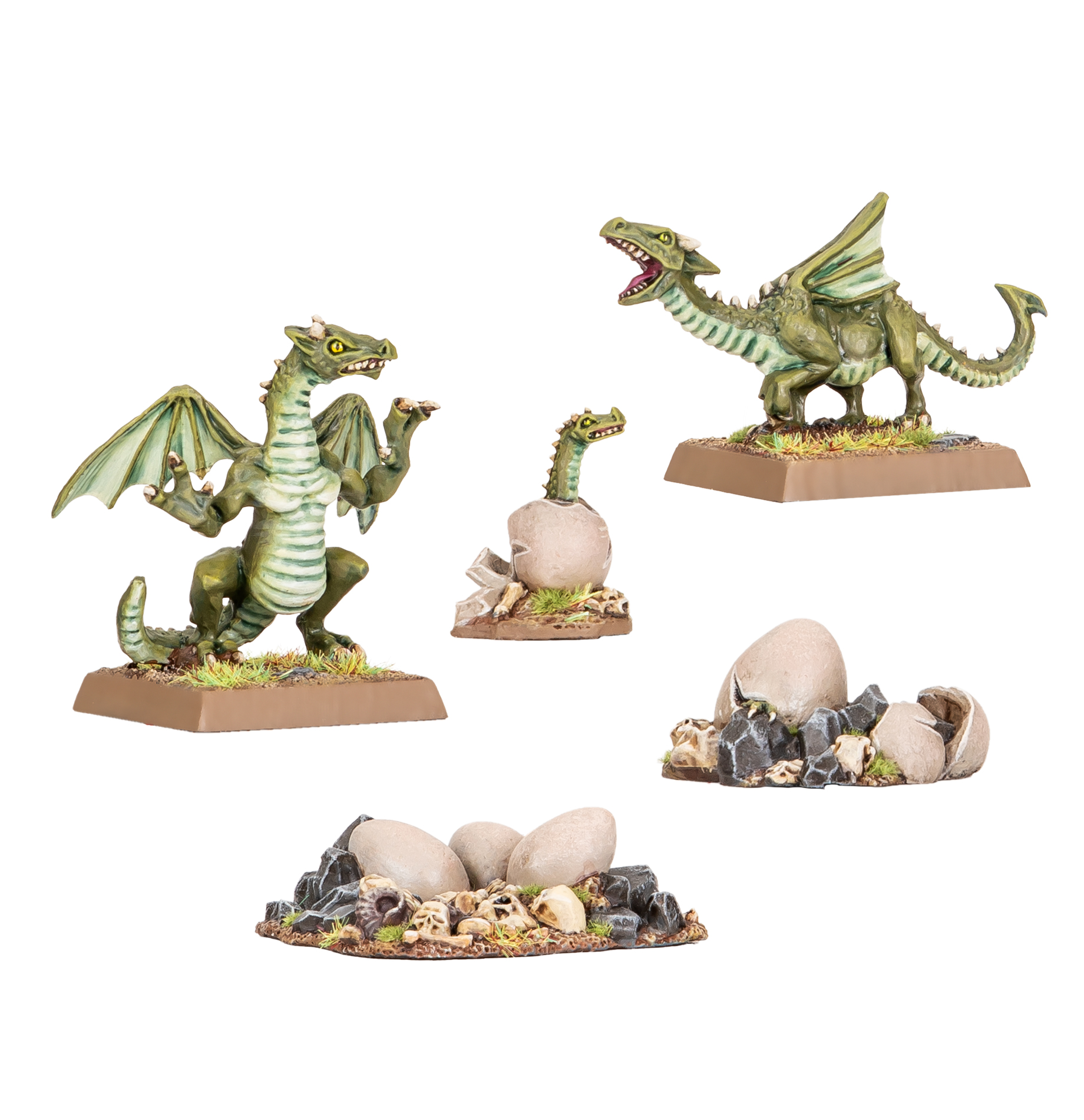 Baby Dragons